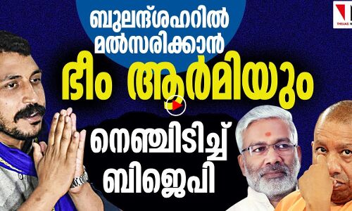 ഭീം ആര്‍മി തിരഞ്ഞെടുപ്പ് ഗോദയില്‍; നെഞ്ചിടിച്ച് ബിജെപി