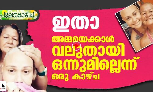 അമ്മയെക്കാള്‍ വലുതായി ഒന്നുമില്ലെന്ന് ഒരു കാഴ്ച