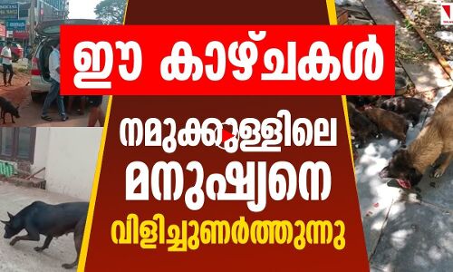 ഈ കാഴ്ചകള്‍ ചോദിക്കുന്നു; നമുക്കുള്ളില്‍ മനുഷ്യനുണ്ടോ?