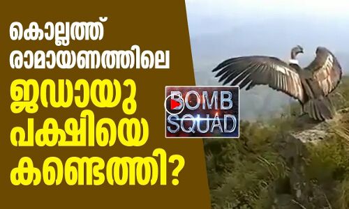 കൊല്ലത്ത് രാമായണത്തിലെ ജഡായു പക്ഷിയെ കണ്ടെത്തി?