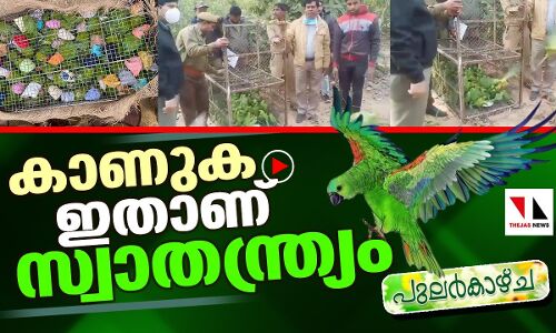 കാണുക... ഇതാണ് സ്വാതന്ത്ര്യം