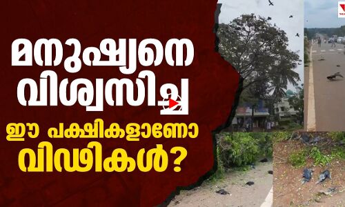 മനുഷ്യന്‍ ഇത്ര ക്രൂരനാവണോ?|THEJAS NEWS