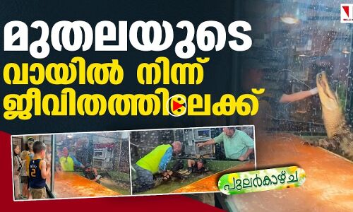 മുതലയുടെ വായിൽ നിന്ന് ജീവിതത്തിലേക്ക് |THEJAS NEWS
