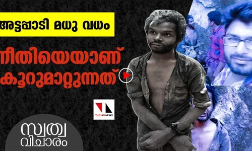 അട്ടപ്പാടി മധു കൊലക്കേസില്‍ സാക്ഷികളെ കൂറുമാറ്റുന്നതാര്...?