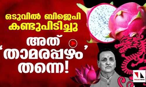 ഒടുവില്‍ ബിജെപി കണ്ടുപിടിച്ചു കളഞ്ഞു; അത് താമരപഴമാണ്!