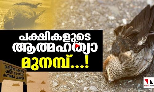 ഇന്ത്യയിലുണ്ട്; പക്ഷികളുടെ ആത്മഹത്യാ മുനമ്പ്...!