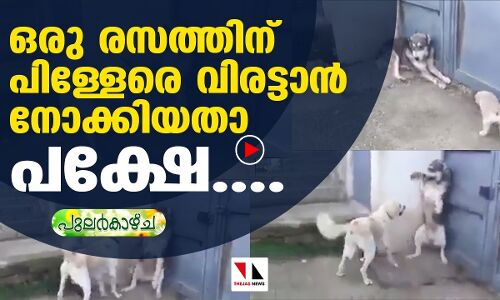 പിള്ളേരെ ഒന്നുവിരട്ടാന്‍ നോക്കിയതാണ് പക്ഷേ....