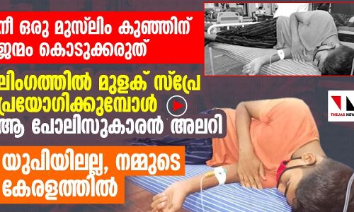 മുസ്‌ലിംകൾ ഈ നാട്ടിൽ ജീവിക്കേണ്ട, മുസ്‌ലിം കുഞ്ഞിന് ജന്മം നൽകരുത്: കേരളാ പോലിസ്