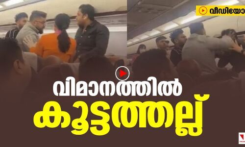 വിമാനത്തില്‍ കൂട്ടത്തല്ല്