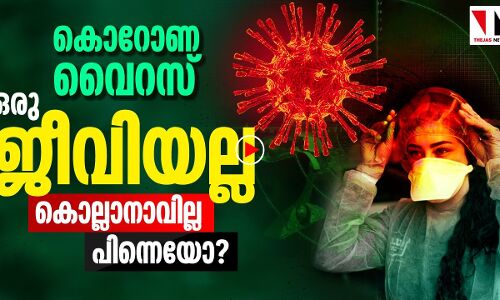 കൊറോണ വൈറസ് ഒരു ജീവിയല്ല, കൊല്ലാനാവില്ല -പിന്നെ?