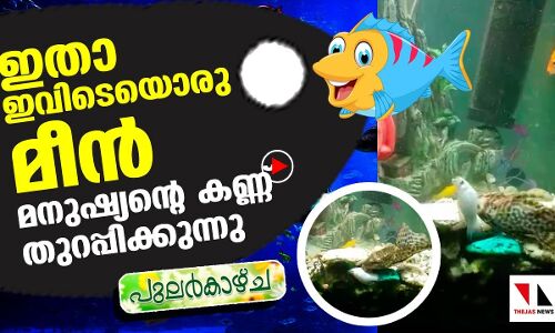 ഈ മീന്‍ നമ്മളെ ചിലതു പഠിപ്പിക്കുന്നുണ്ട്