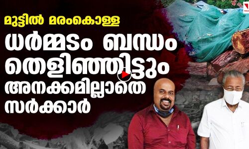 മുട്ടിൽ മരംകൊള്ള; ധർമ്മടം ബന്ധം തെളിഞ്ഞിട്ടും അനക്കമില്ലാതെ സർക്കാർ