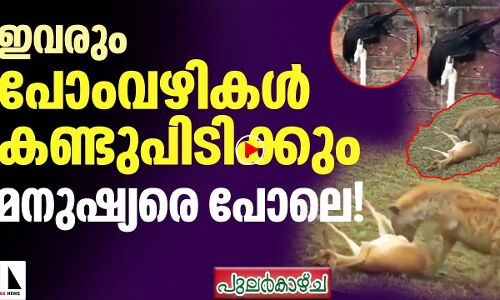 ഇവരും പോംവഴികള്‍ കണ്ടുപിടിക്കും നമ്മളെ പോലെ