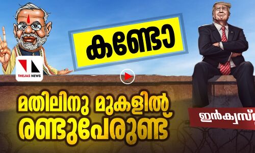 മതിലില്‍ ഇരിക്കുന്ന ഇവരെ നിങ്ങള്‍ അറിയും, നന്നായി