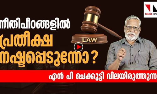 നീതിപീഠങ്ങളിൽ പ്രതീക്ഷ നഷ്ടപ്പെടുന്നോ ?|THEJAS NEWS|NP CHEKKUTTY