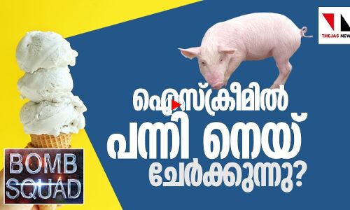 ഐസ്‌ക്രീമില്‍ പന്നി നെയ് ചേര്‍ക്കുന്നുണ്ടോ?