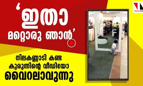 മറ്റൊരുഞാനോ? നിലകണ്ണാടികണ്ട കുരുന്നിന്റെ ദൃശ്യം വൈറല്‍