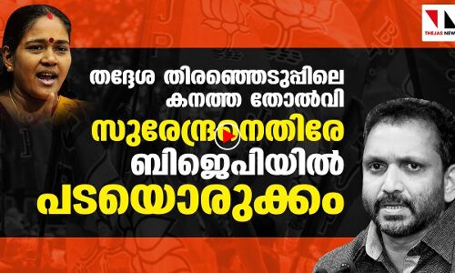 തോൽവി; സുരേന്ദ്രനെതിരേ ബിജെപിയിൽ പടയൊരുക്കം