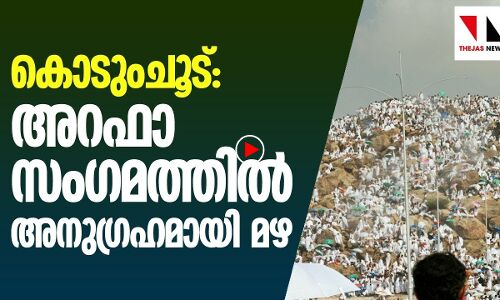 അറഫാ സംഗമത്തിൽ അനുഗ്രഹമായി മഴ