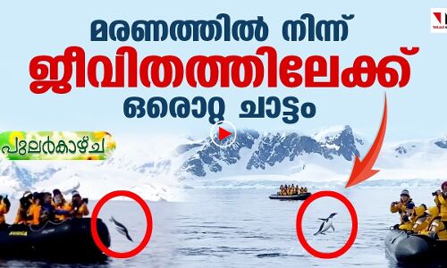 മരണത്തിൽനിന്ന് ജീവിതത്തിലേക്കുള്ള ചാട്ടം