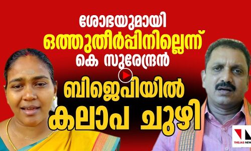 ശോഭയുമായി ഒത്തുതീർപ്പിനില്ലെന്ന് കെ സുരേന്ദ്രൻ