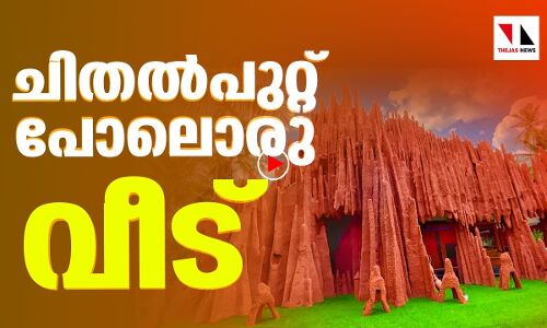 ചിതൽപുറ്റ് പോലൊരു വീട്|THEJAS NEWS
