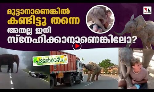 മുട്ടാനാണെങ്കില്‍ കണ്ടിട്ടു തന്നെ, അതല്ല സ്‌നേഹിക്കാനാണെങ്കിലോ?