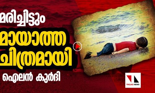 ഐലൻ കുർദിയുടെ മരണം: പ്രതികൾക്ക് 125 വർഷം തടവ്