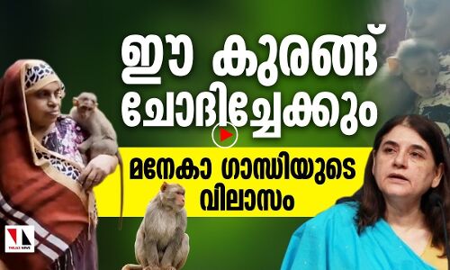ഈ കുരങ്ങ് ചോദിച്ചേക്കും മനേകാ ഗാന്ധിയുടെ അഡ്രസ്