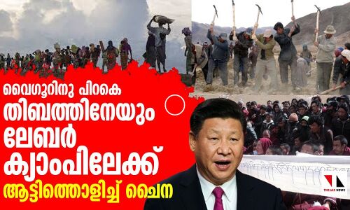 ടിബറ്റന്‍ ജനതയെ ലേബര്‍ ക്യാംപുകളിലേക്ക് ആട്ടിപായിച്ച് ചൈന