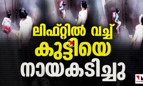 ലിഫ്റ്റിൽ വച്ച് കുട്ടിയെ നായ കടിച്ചു