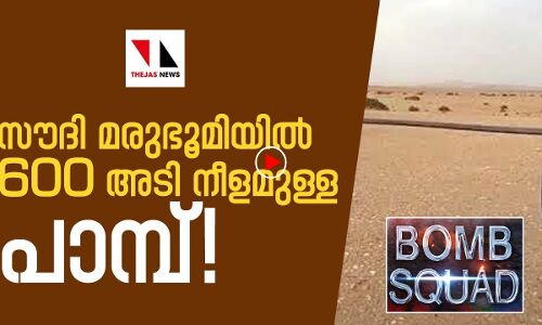 സൗദി മരുഭൂമിയില്‍ 600 അടി നീളമുള്ള പാമ്പ് ! | THEJAS NEWS | BOMB SQUAD