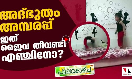 ഇത് എന്തിന്റെ കുഞ്ഞാണ് എന്ന്