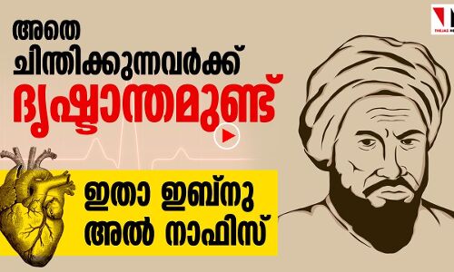 ഇബ്‌നു അൽ നാഫിസ്, ശാസ്ത്രലോകത്തിനുള്ള മുസ്‌ലിം സംഭാവന