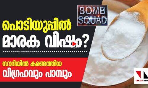 ഇന്ത്യയില്‍ വില്‍ക്കുന്ന പൊടിയുപ്പില്‍ മാരക വിഷമായ സയനൈഡ്?