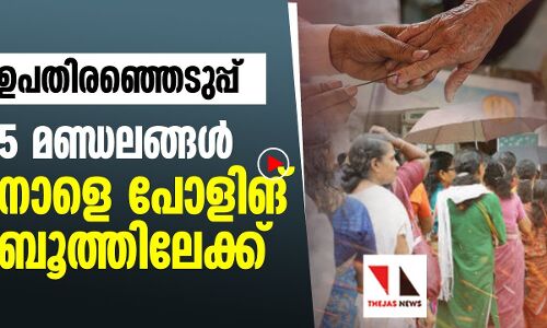 ഉപതിരഞ്ഞെടുപ്പ്: 5 മണ്ഡലങ്ങൾ നാളെ പോളിങ് ബൂത്തിലേക്ക്|THEJAS NEWS|BY ELECTION KERALA|