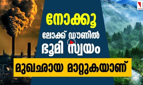 ഇതാ മനുഷ്യസ്പർശം ഏൽക്കാത്ത ഭൂമി സ്വയം പുതുക്കുന്നു |THEJAS NEWS
