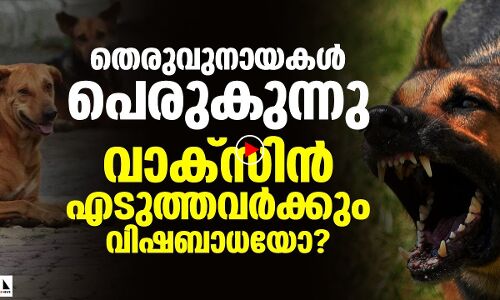 പേവിഷബാധ: ആശങ്കപ്പെട്ടേ തീരൂ