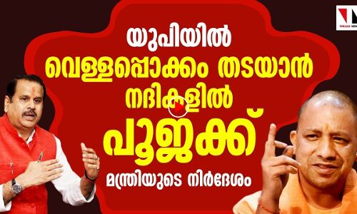 വെള്ളപ്പൊക്കമോ? നദികളെ പൂജിക്കൂ: യുപി മന്ത്രി